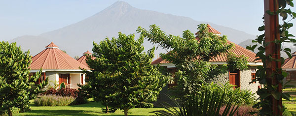 Planet Lodge