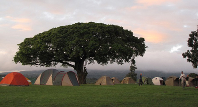 Simba Campsite