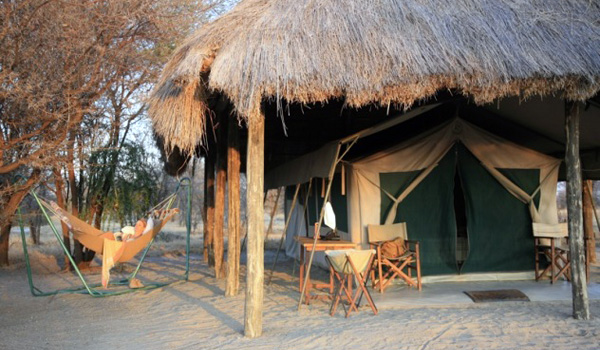 Whistling Thorn Tented Lodge